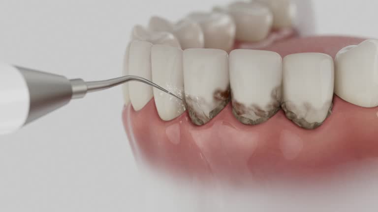 Reliable Dental contractor in Trenton, MI by Dentist Open Now